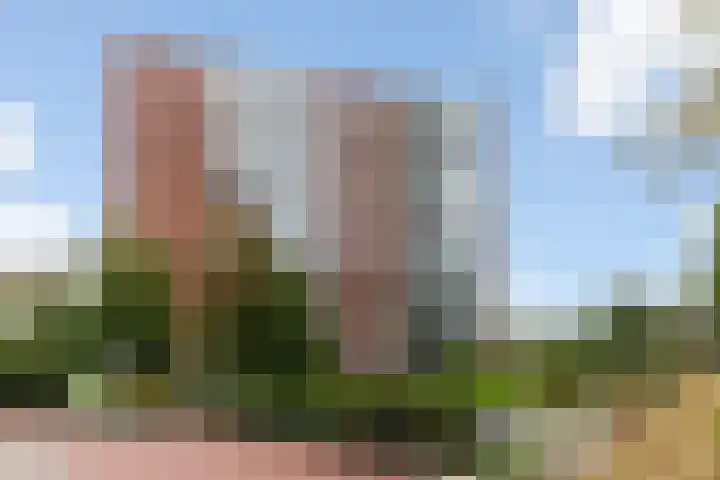 Drevenpark 189 Vlaardingen thumbnail 41