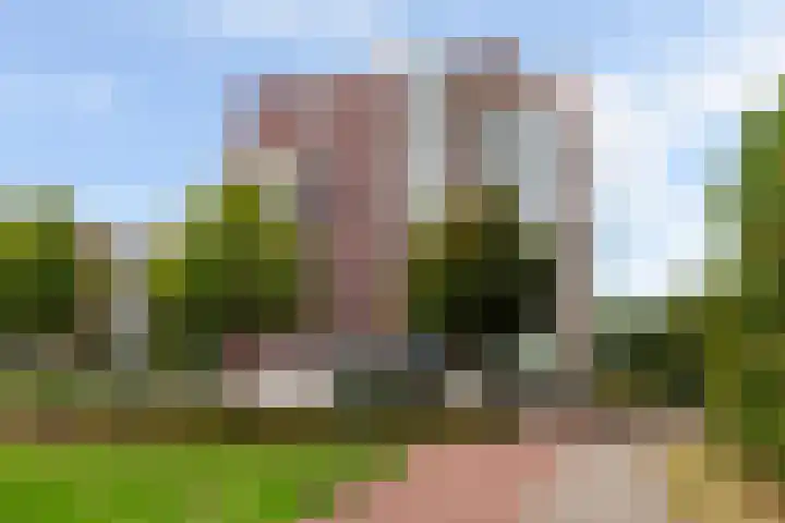 Drevenpark 189 Vlaardingen thumbnail 43