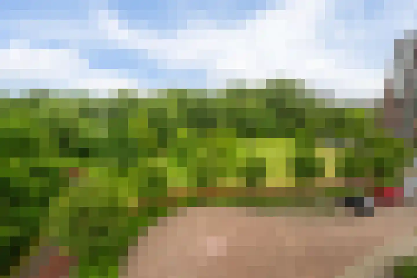Drevenpark 205 Vlaardingen thumbnail 30