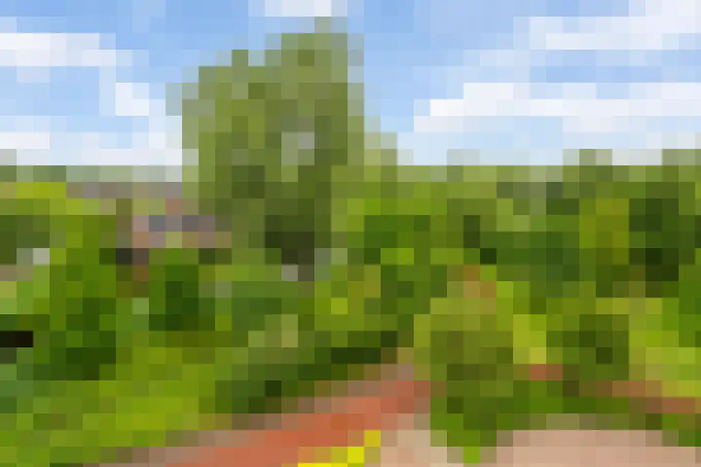 Drevenpark 205 Vlaardingen thumbnail 31