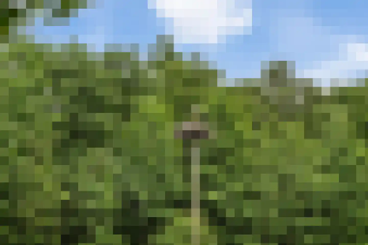 Drevenpark 205 Vlaardingen thumbnail 45