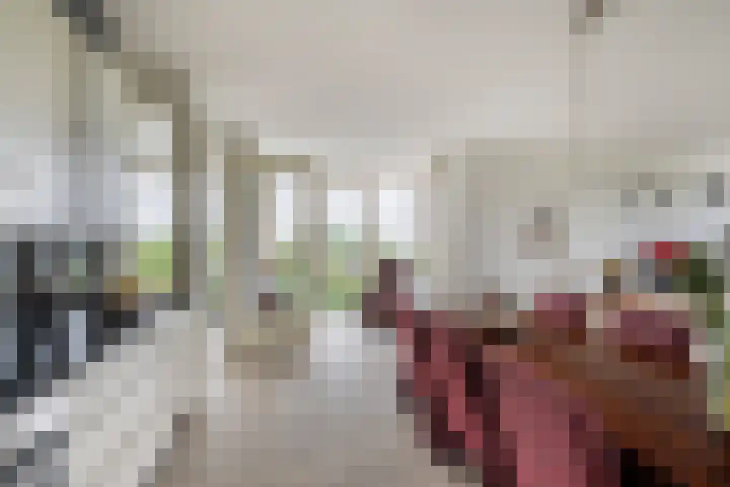 Drevenpark 205 Vlaardingen thumbnail 6