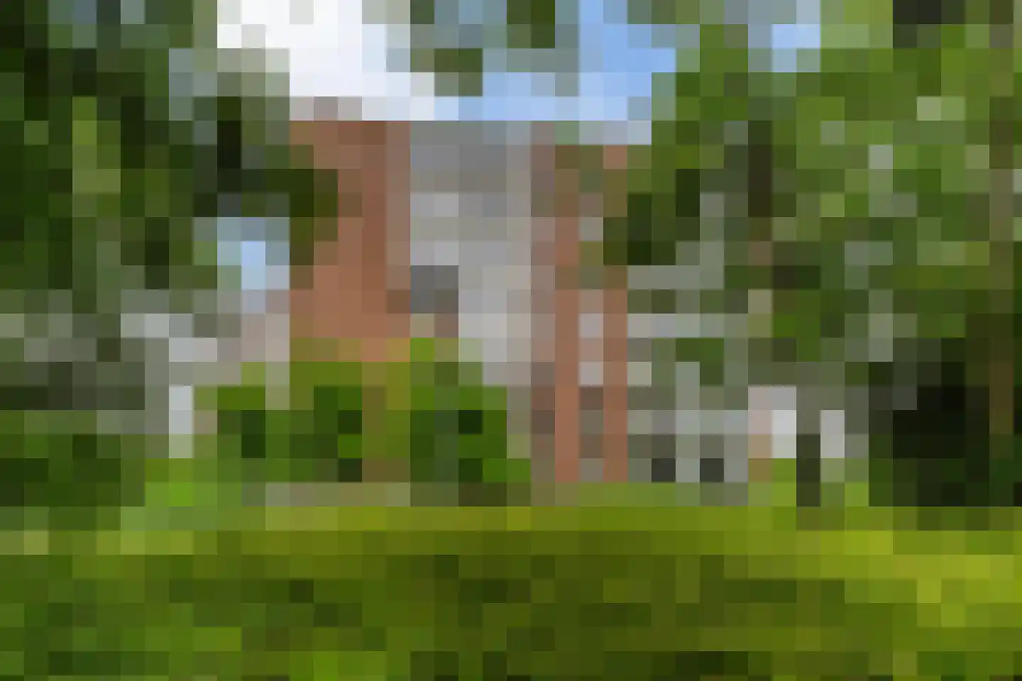 Drevenpark 205 Vlaardingen thumbnail 9