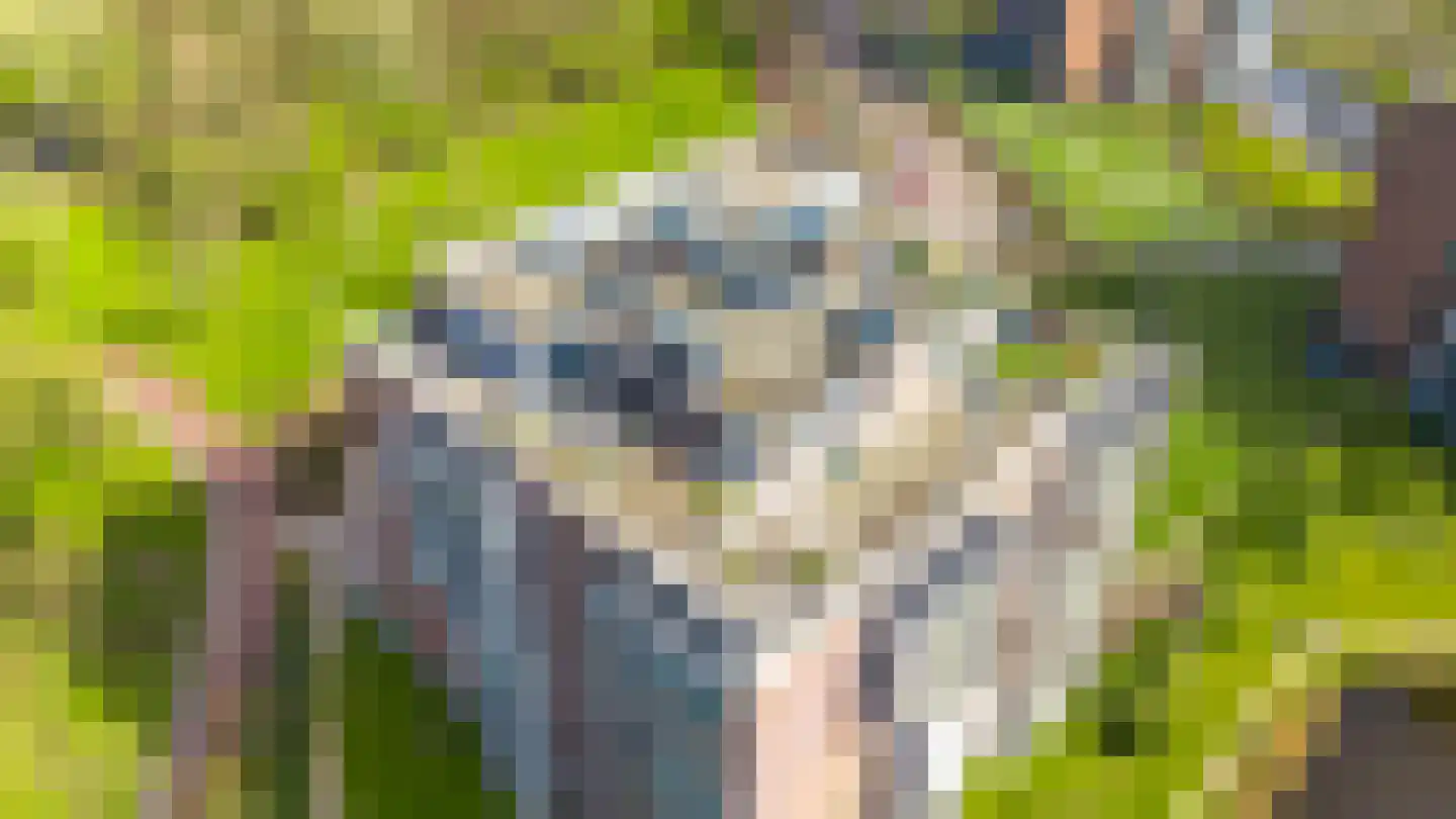 Drevenpark 223 Vlaardingen thumbnail 16