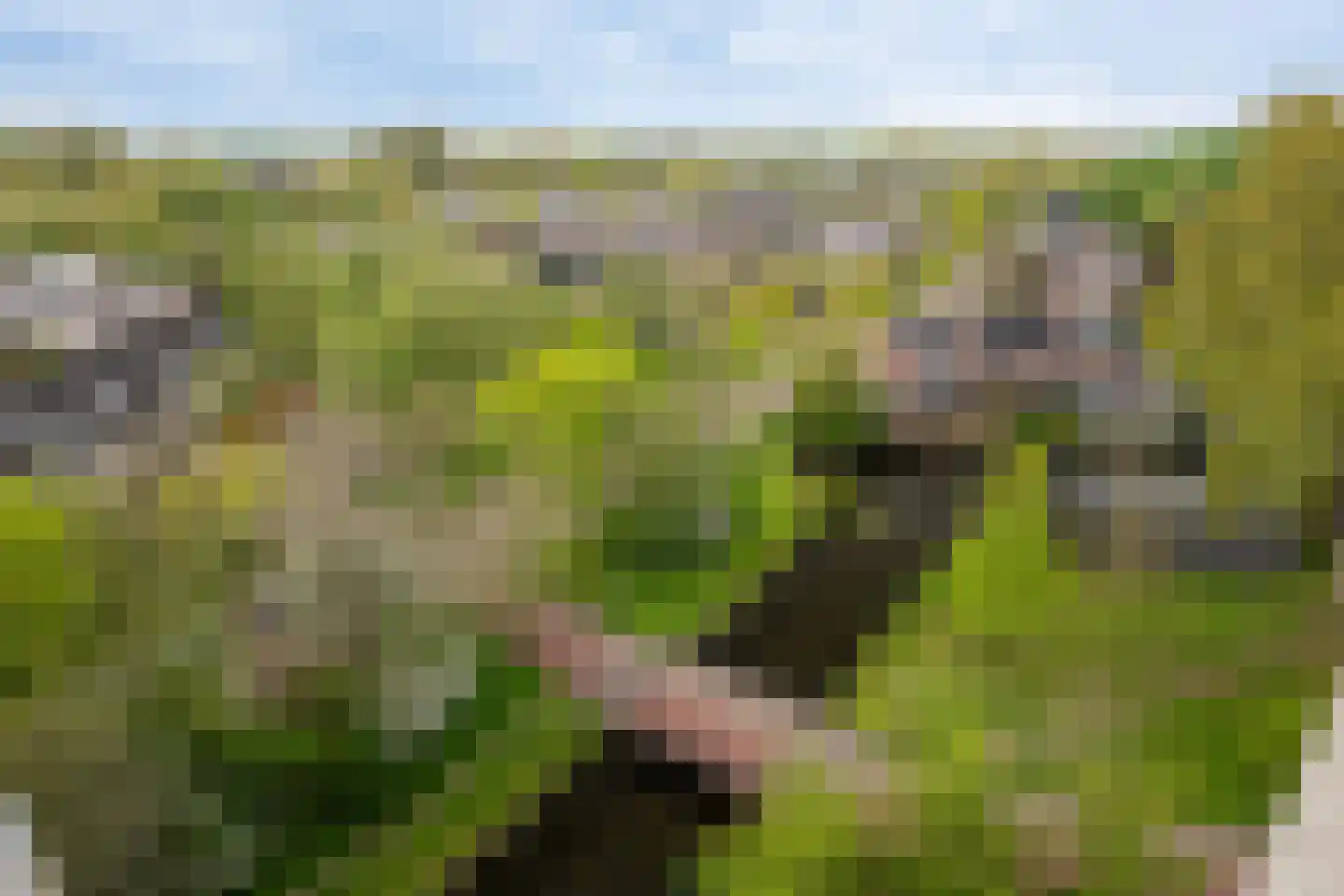 Drevenpark 223 Vlaardingen thumbnail 32