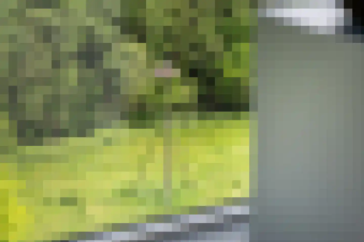 Drevenpark 223 Vlaardingen thumbnail 39