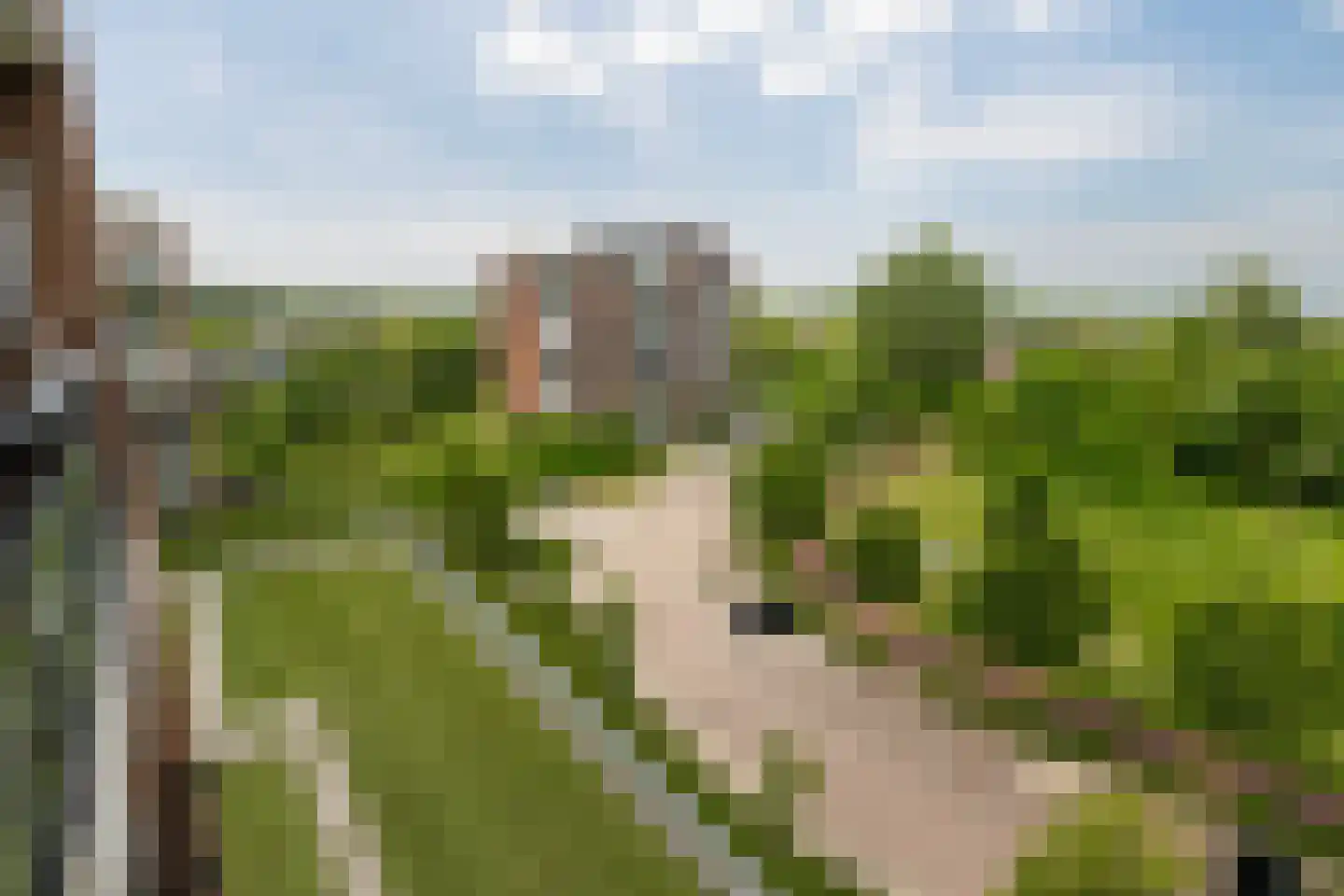 Drevenpark 49 Vlaardingen thumbnail 22