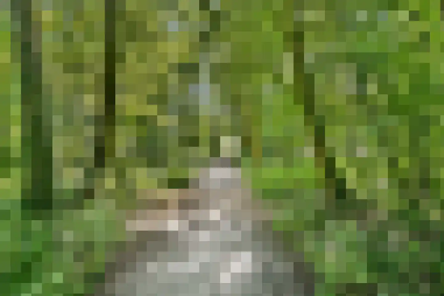 Drevenpark 71 Vlaardingen thumbnail 30