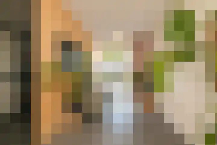Dreves Uitterdijkstraat 12 Den Haag thumbnail 5