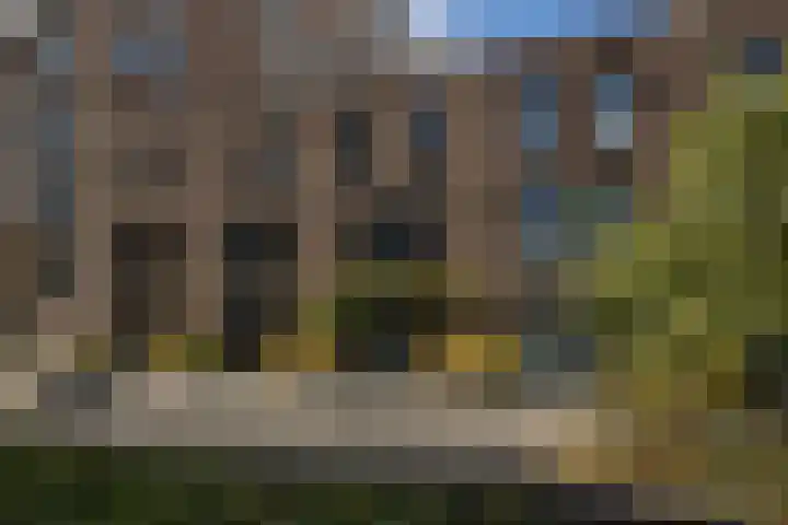 Dreves Uitterdijkstraat 12 Den Haag thumbnail 52