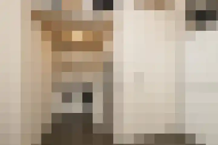 Dreves Uitterdijkstraat 12 Den Haag thumbnail 9