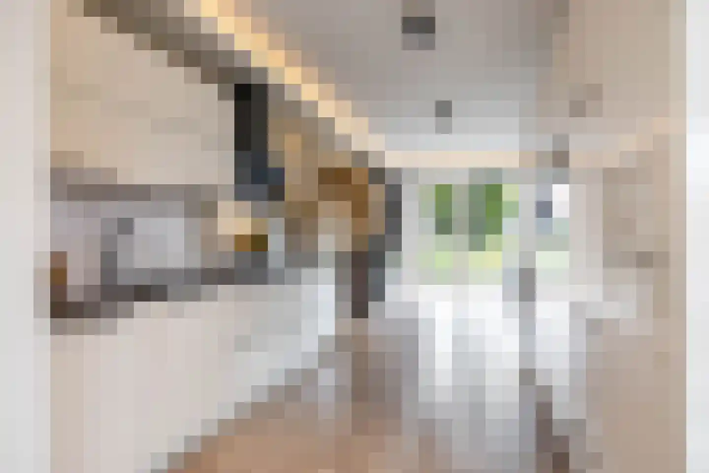 Drewerd 21 Groningen thumbnail 11
