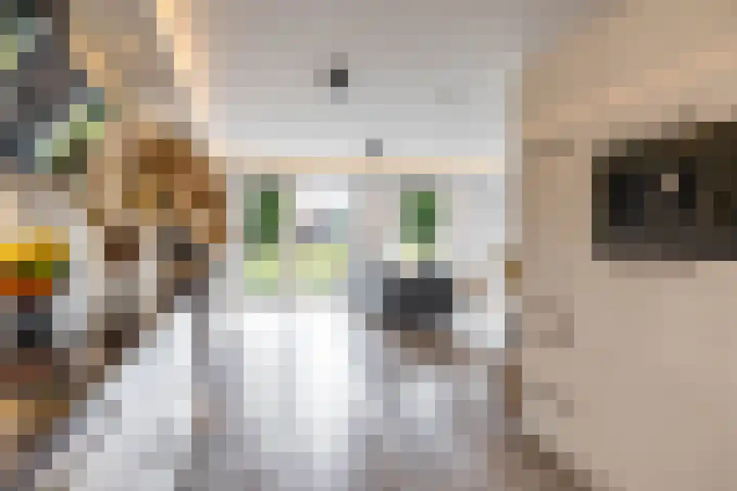 Drewerd 21 Groningen thumbnail 14