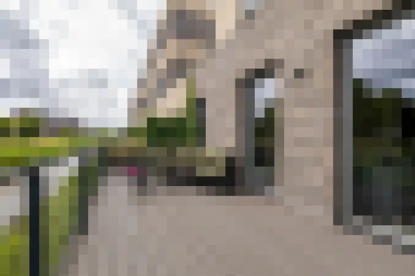 Drewerd 21 Groningen thumbnail 21