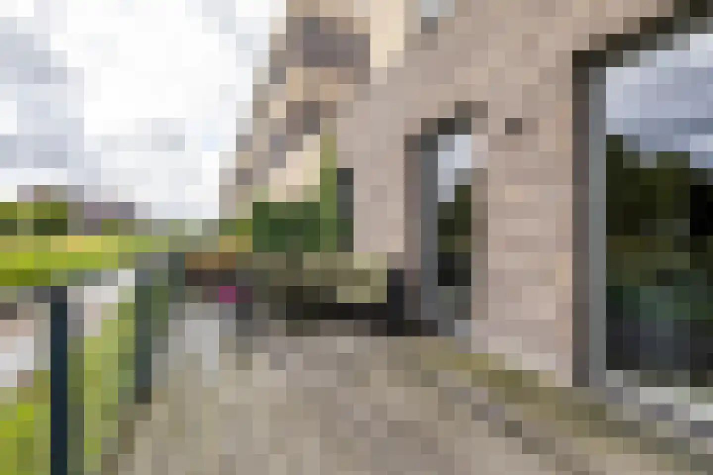 Drewerd 21 Groningen thumbnail 21