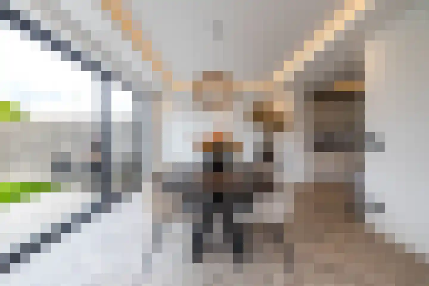 Drewerd 21 Groningen thumbnail 26