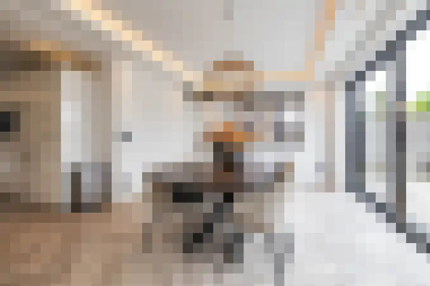 Drewerd 21 Groningen thumbnail 27