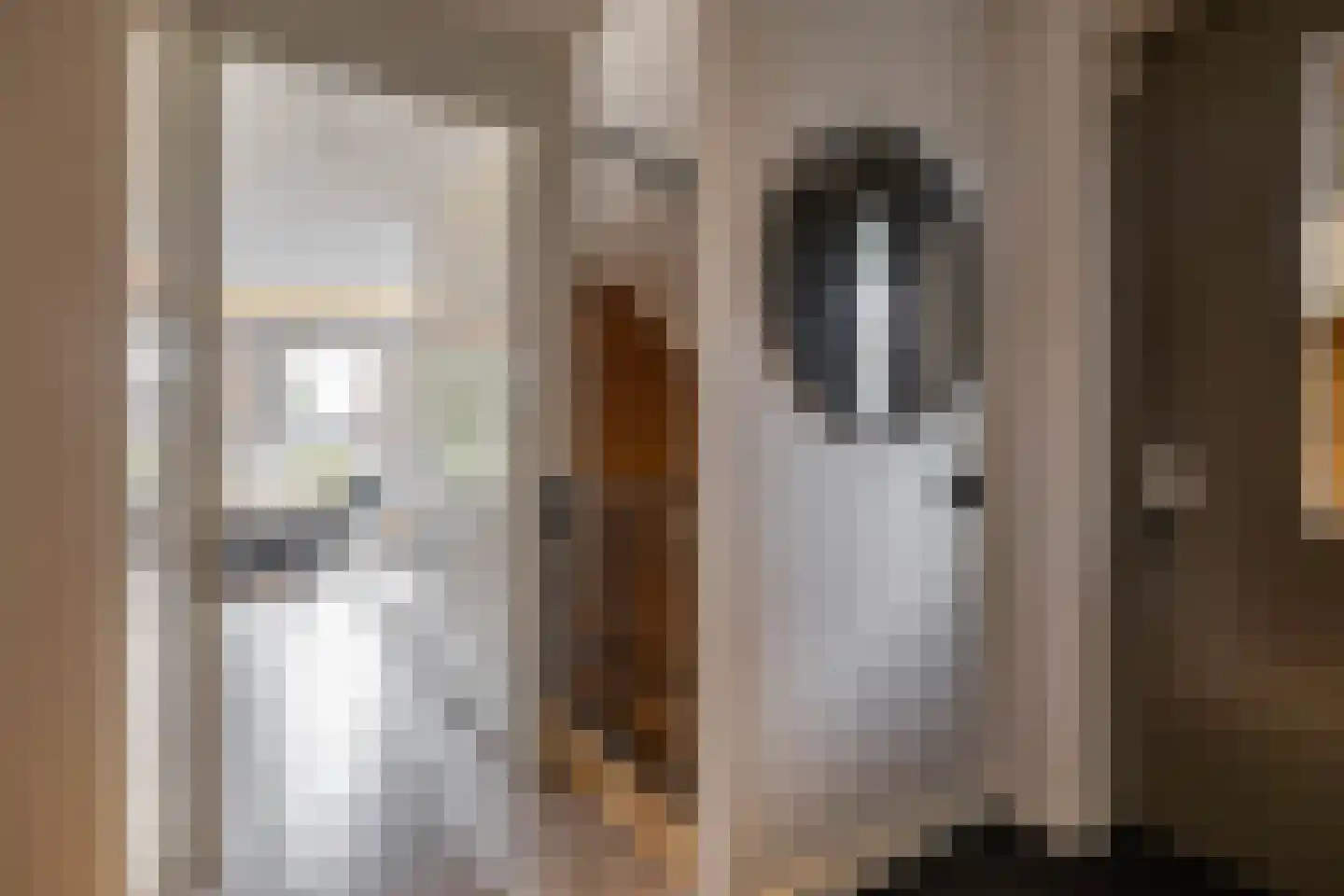 Drewerd 21 Groningen thumbnail 33
