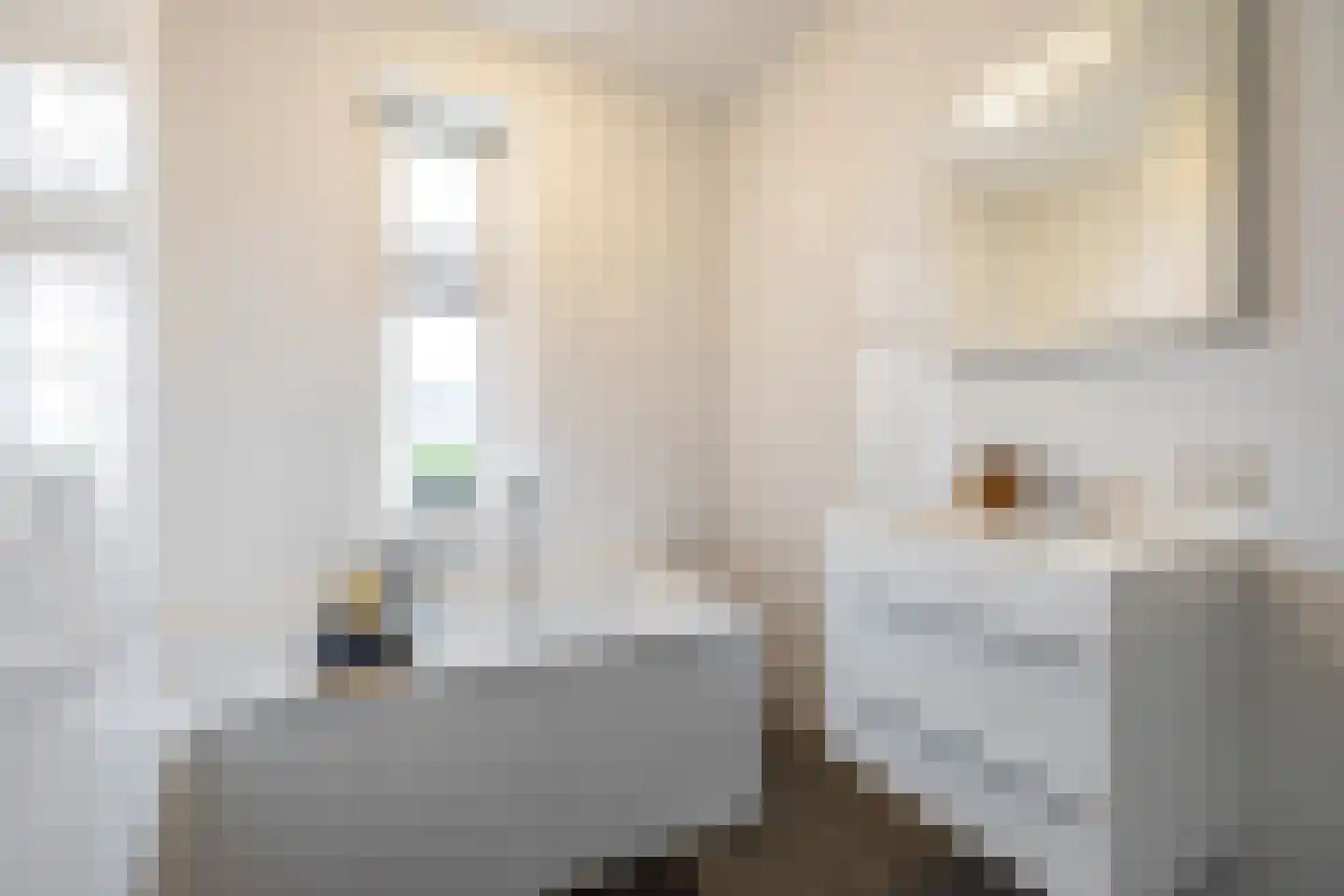 Drewerd 21 Groningen thumbnail 50