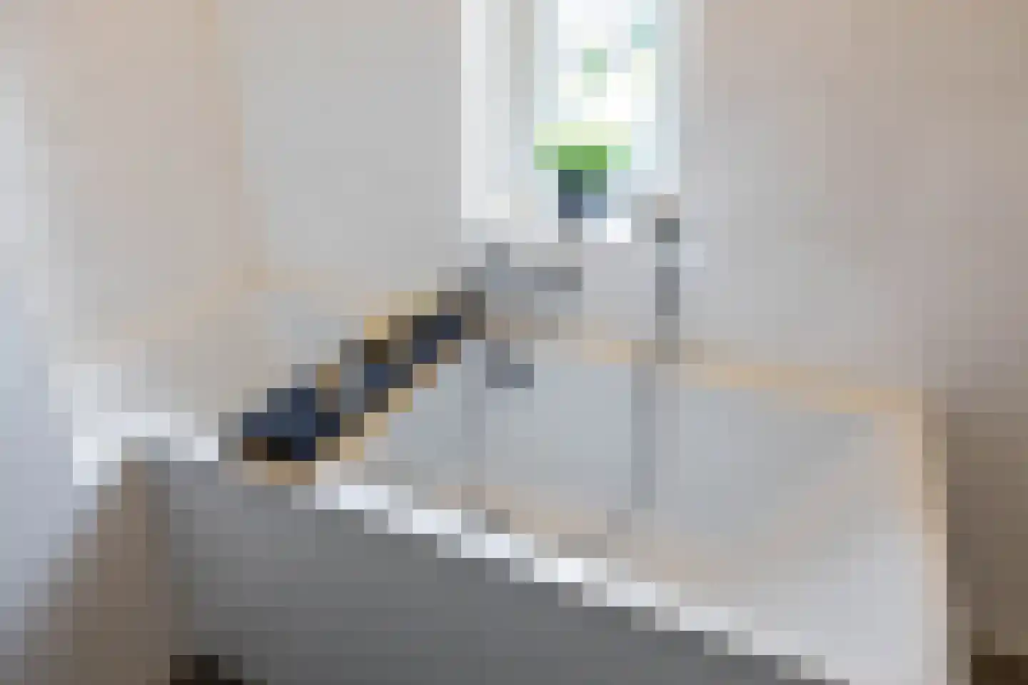Drewerd 21 Groningen thumbnail 51
