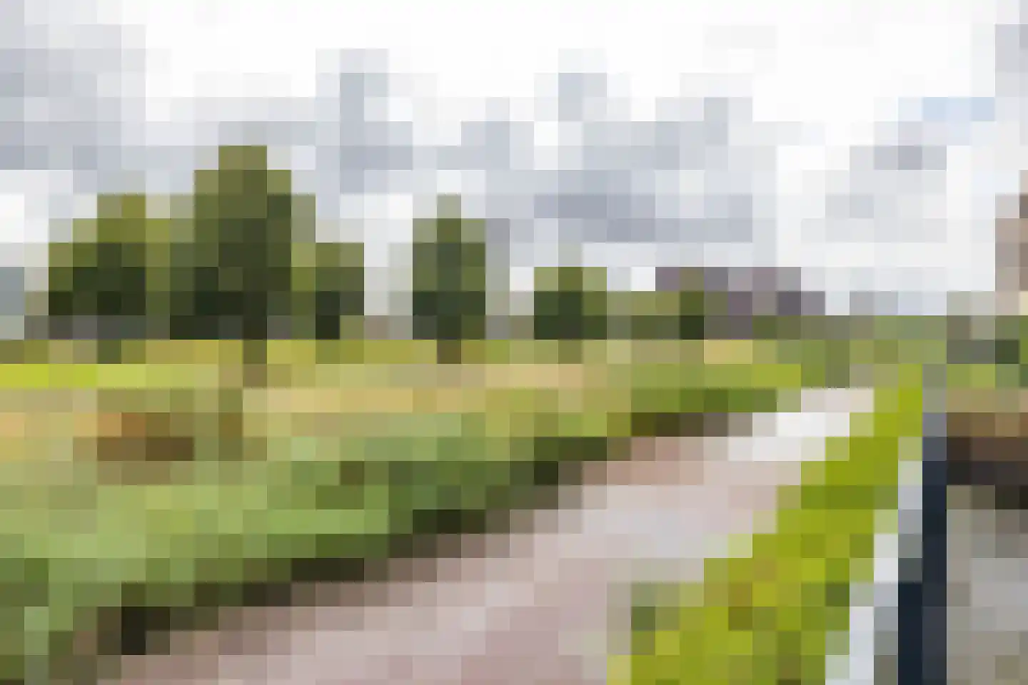 Drewerd 21 Groningen thumbnail 57
