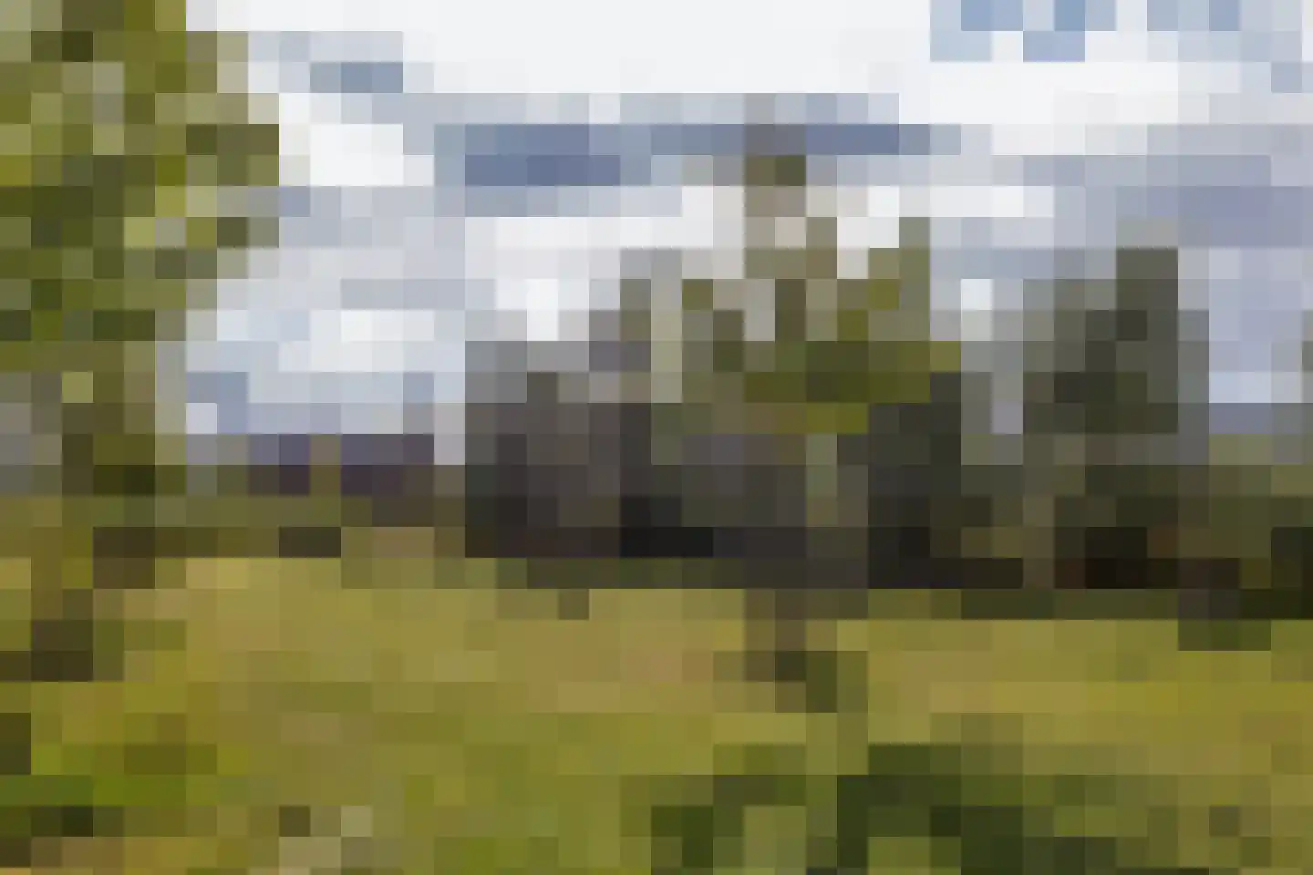 Drewerd 21 Groningen thumbnail 58