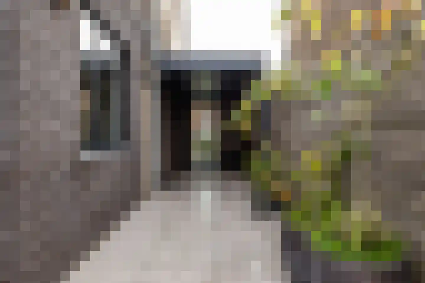 Drewerd 21 Groningen thumbnail 6
