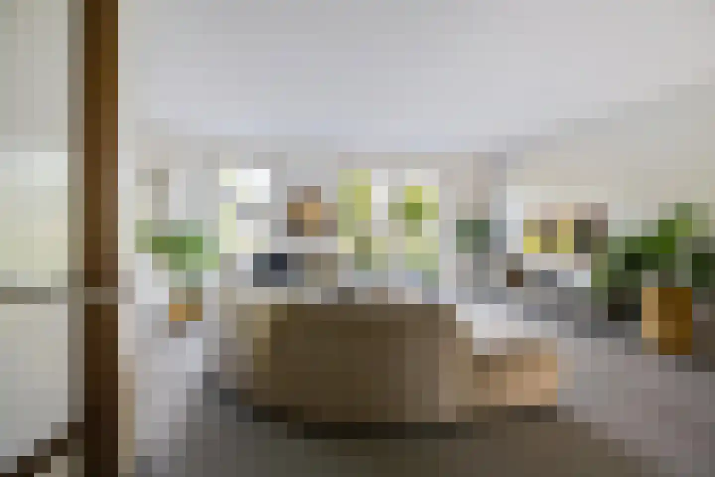 Drewerd 27 Groningen thumbnail 12