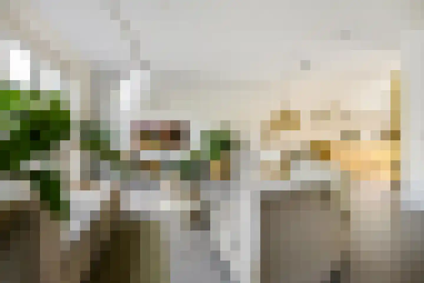 Drewerd 27 Groningen thumbnail 16