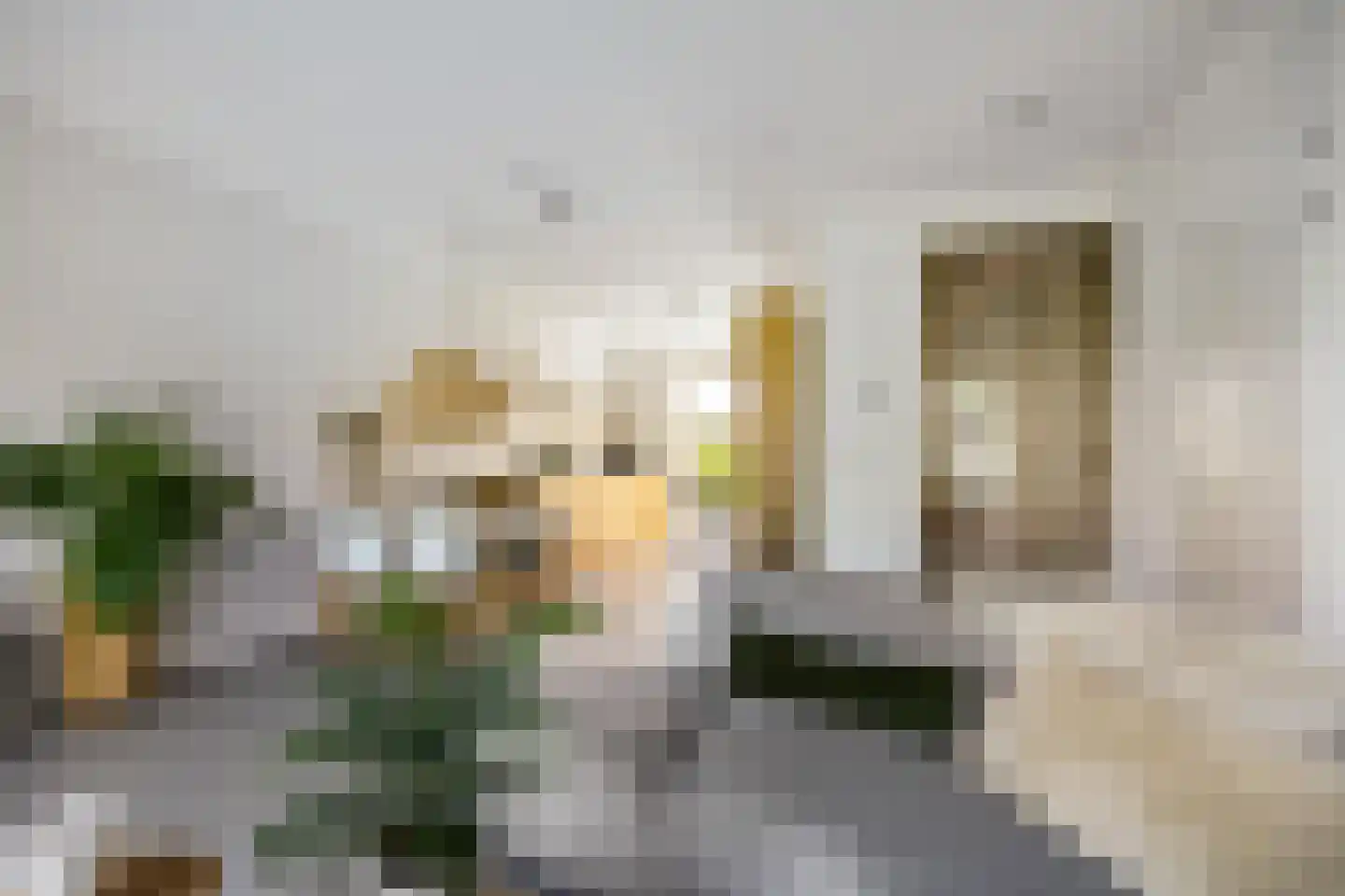 Drewerd 27 Groningen thumbnail 17
