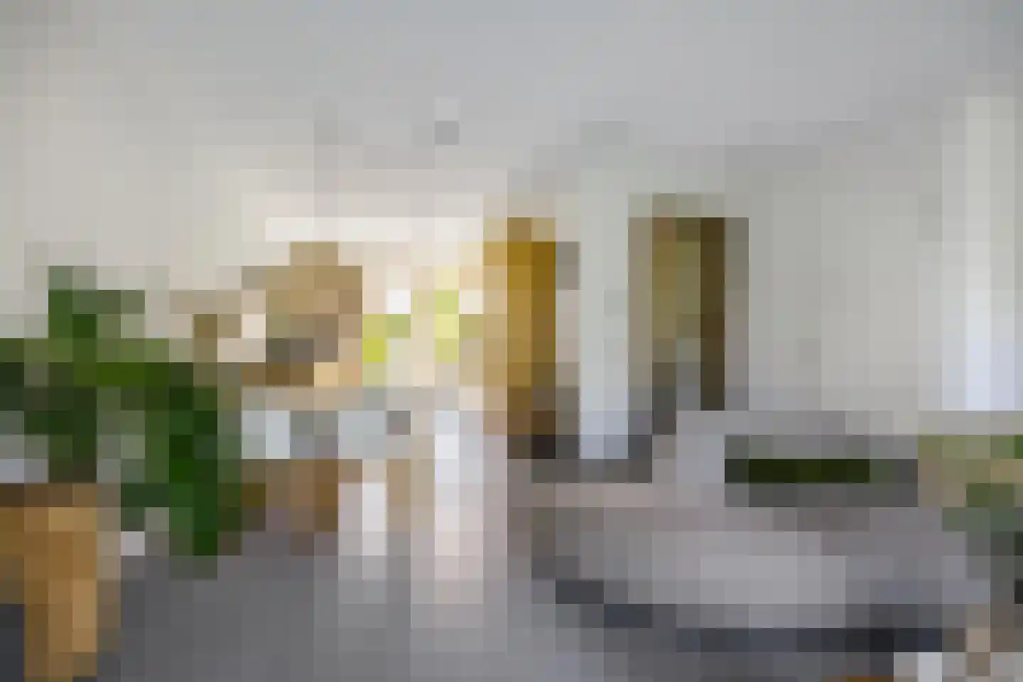 Drewerd 27 Groningen thumbnail 18