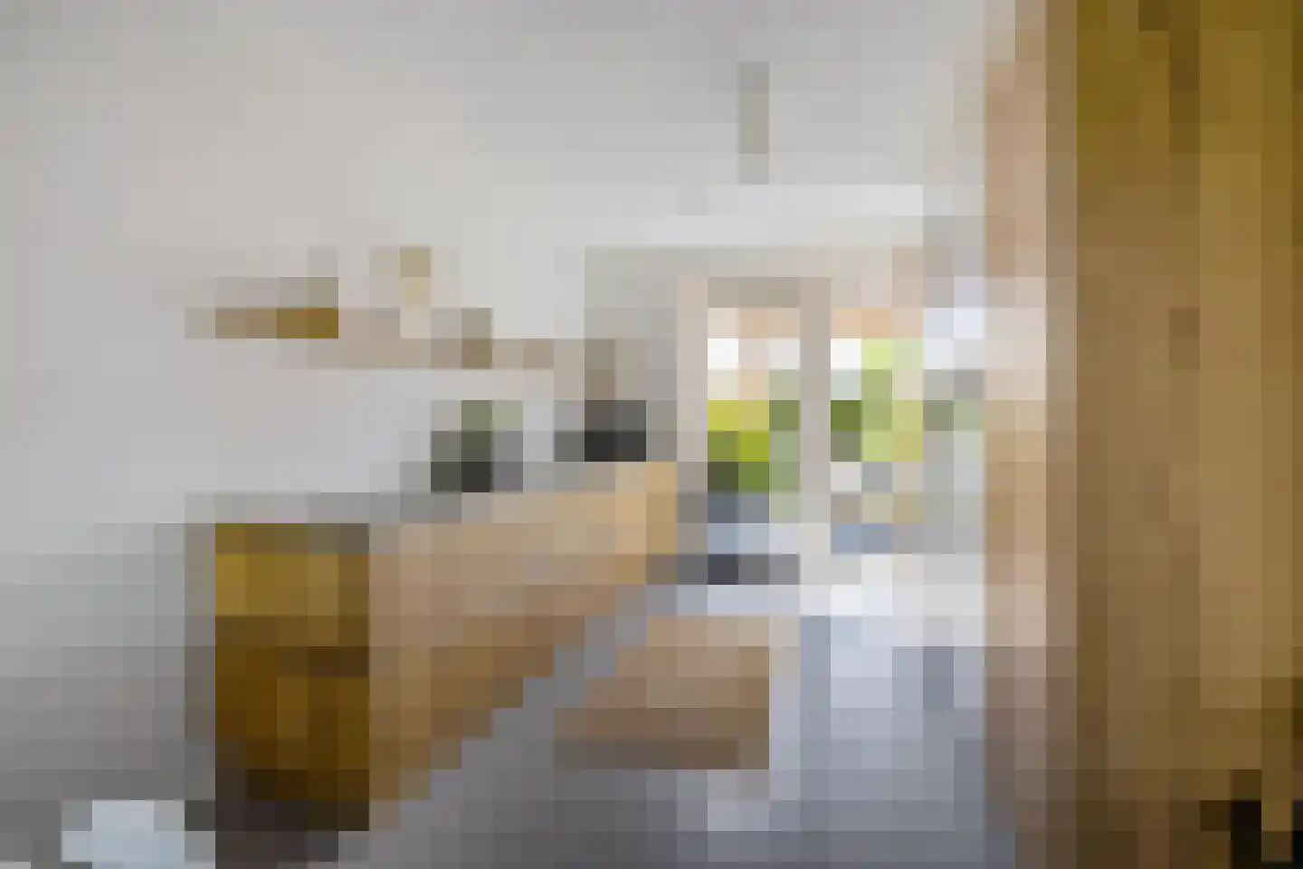 Drewerd 27 Groningen thumbnail 20