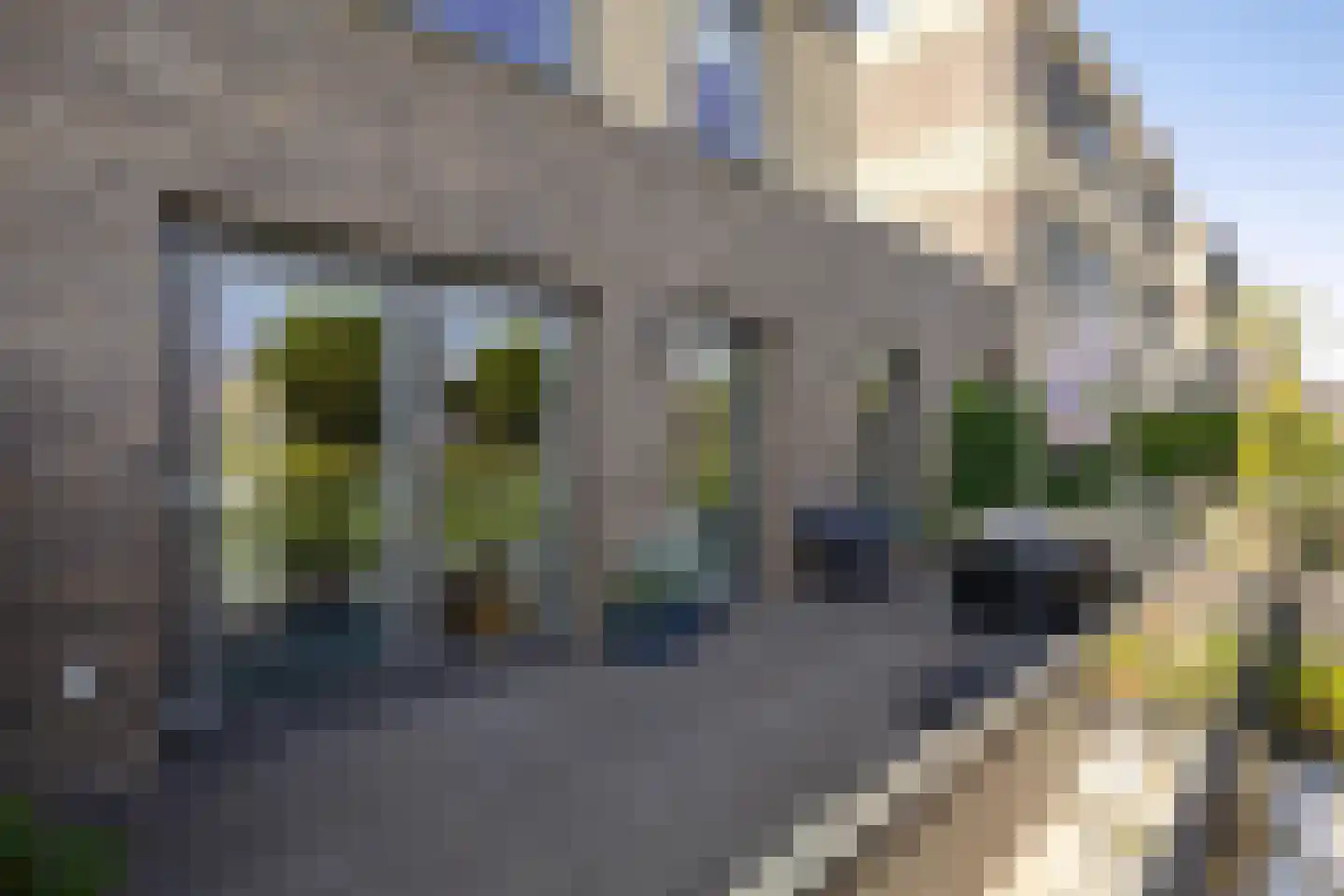 Drewerd 27 Groningen thumbnail 28