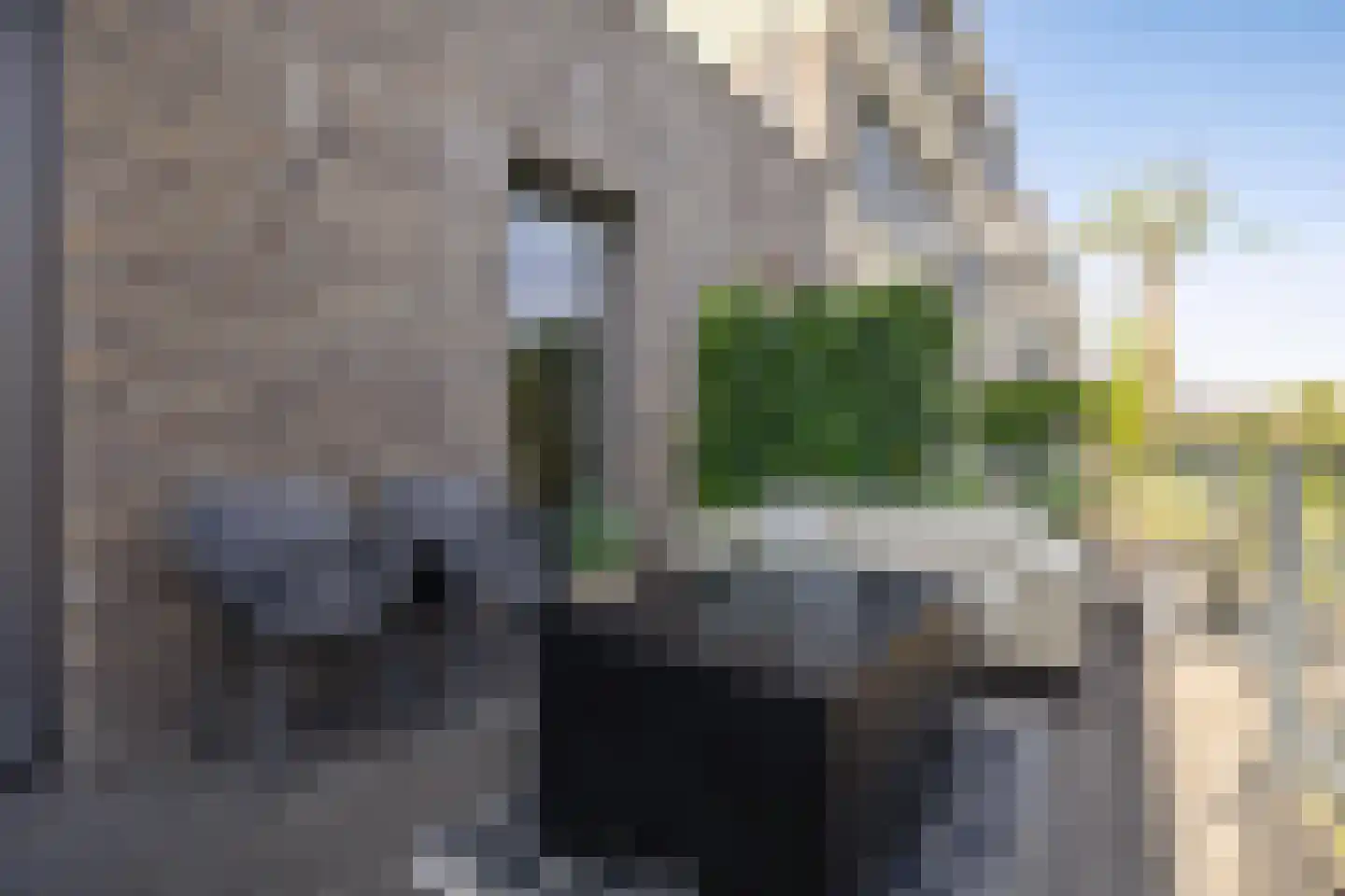 Drewerd 27 Groningen thumbnail 29