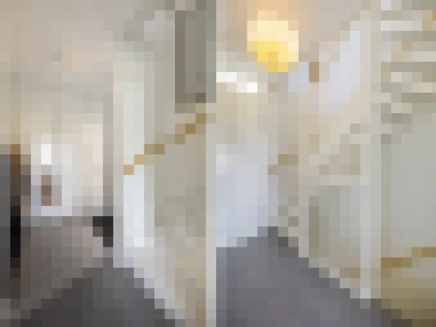 Drewerd 27 Groningen thumbnail 33
