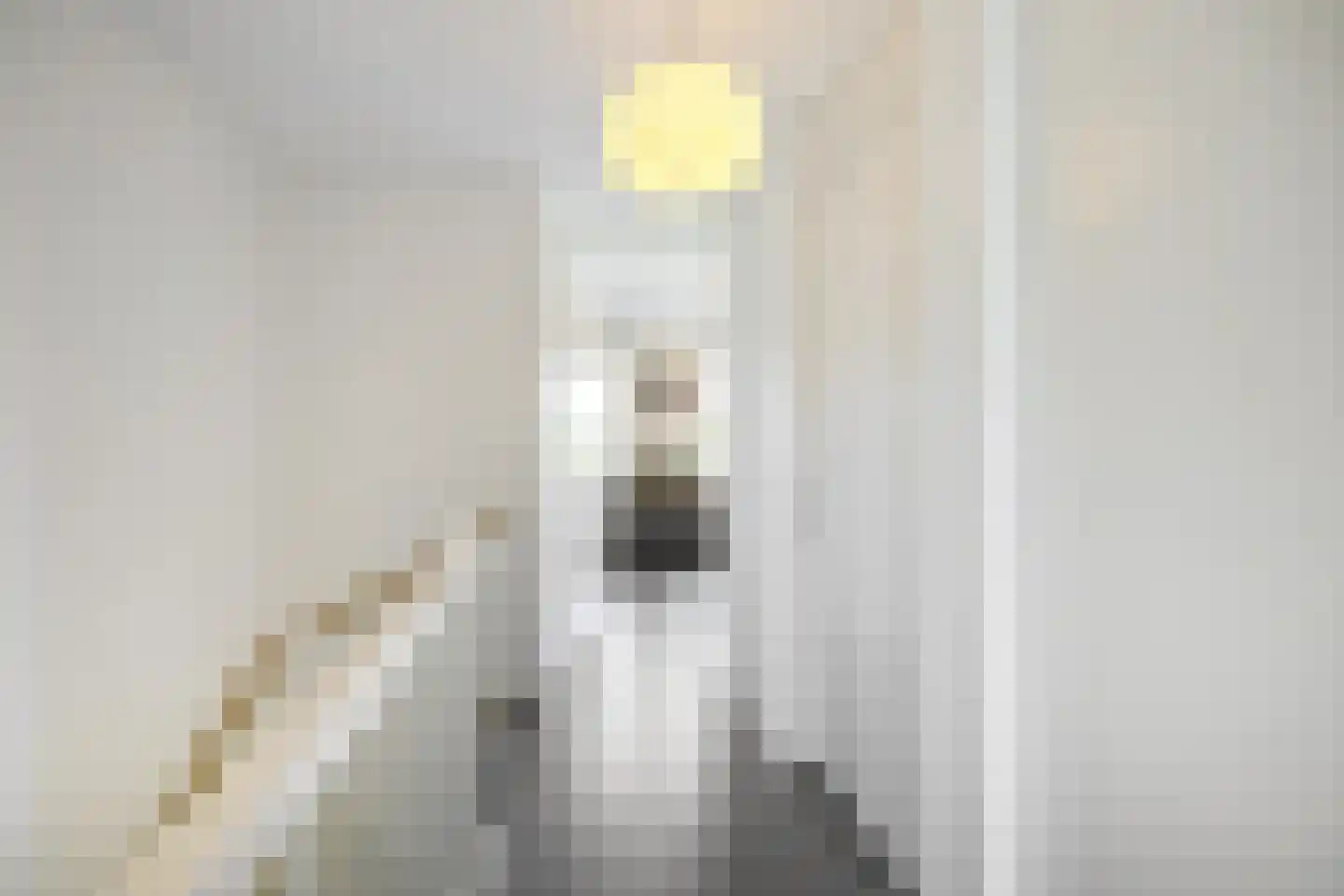 Drewerd 27 Groningen thumbnail 39