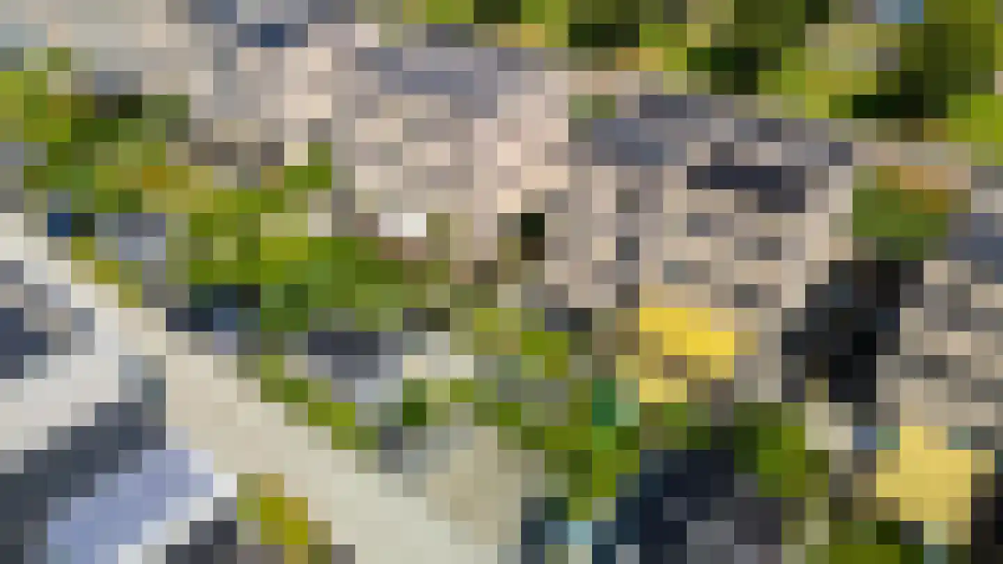 Drewerd 27 Groningen thumbnail 4