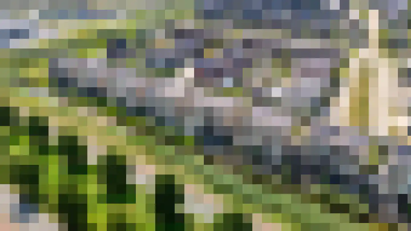 Drewerd 27 Groningen thumbnail 48