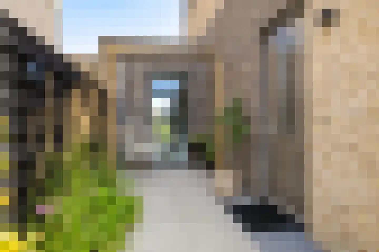 Drewerd 27 Groningen thumbnail 9
