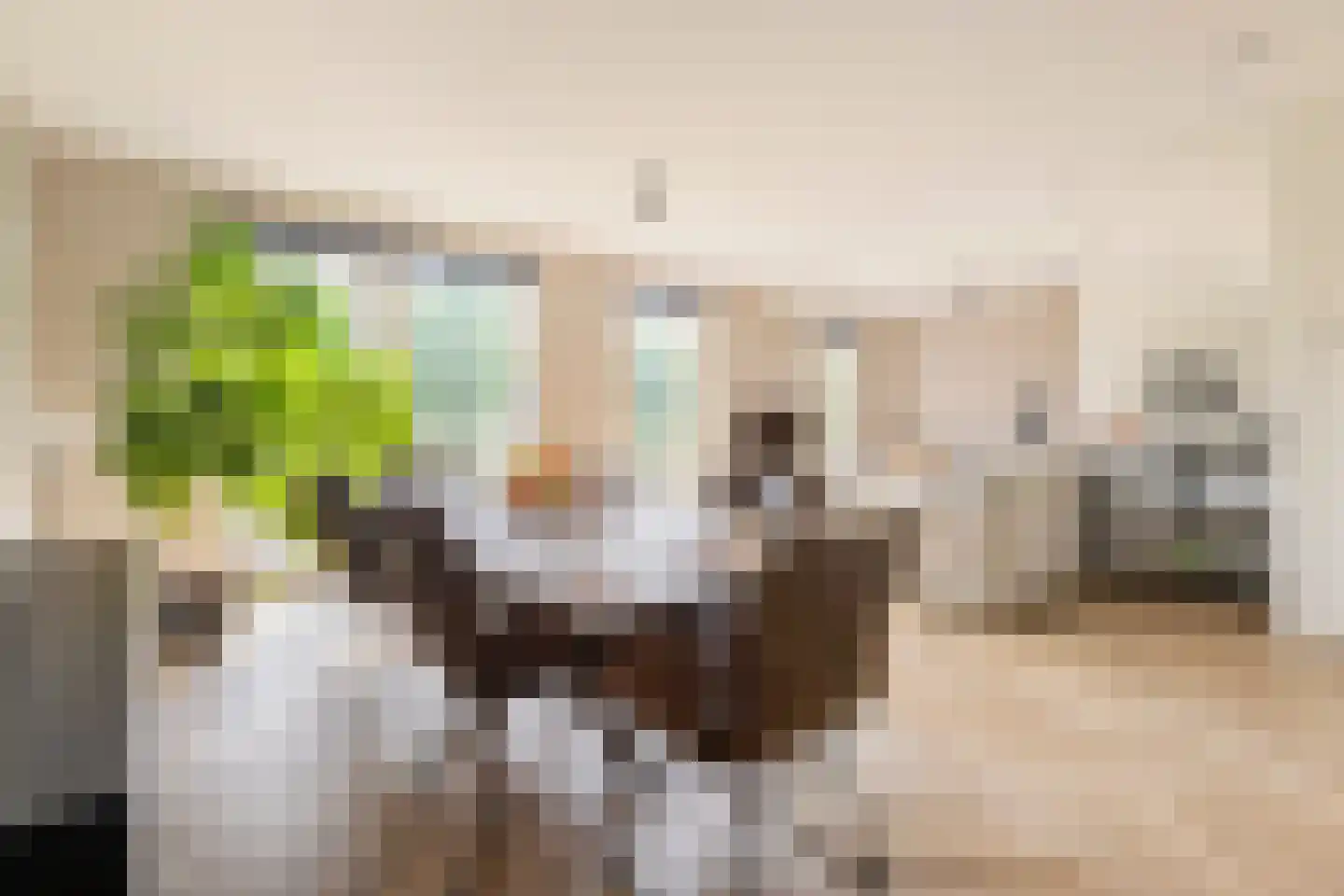 Drewerd 41 Groningen thumbnail 10