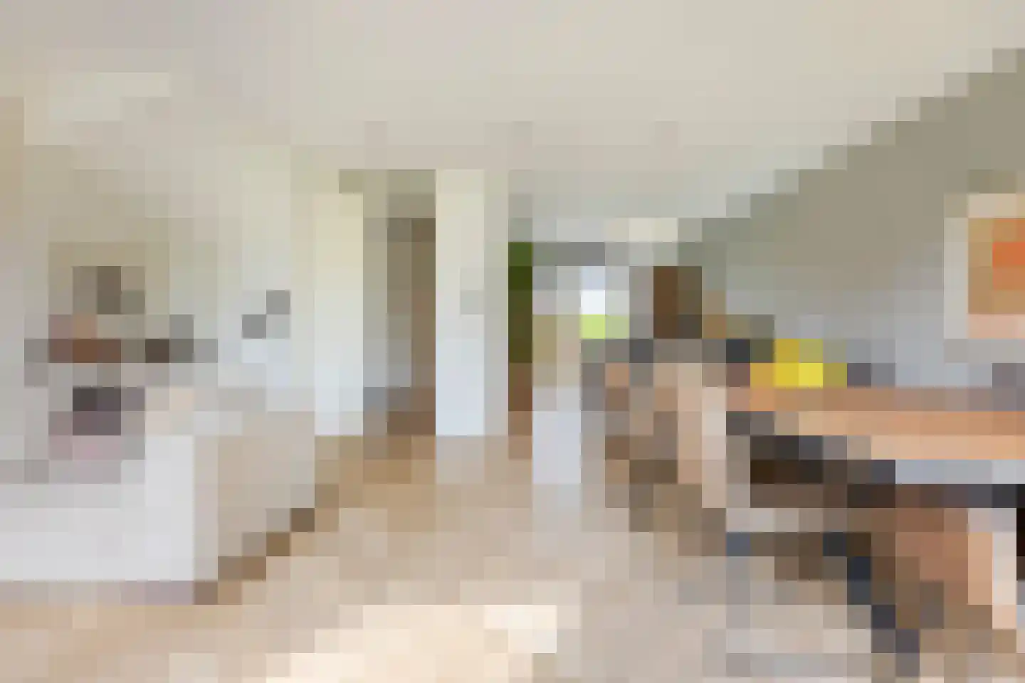 Drewerd 41 Groningen thumbnail 11