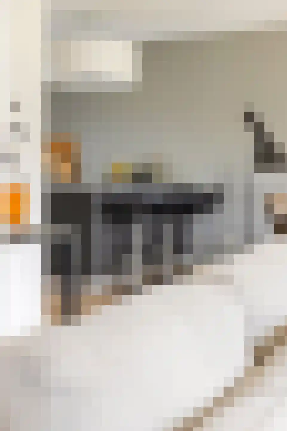 Drewerd 41 Groningen thumbnail 14