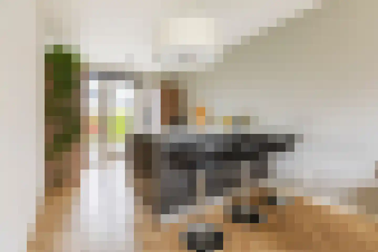 Drewerd 41 Groningen thumbnail 15