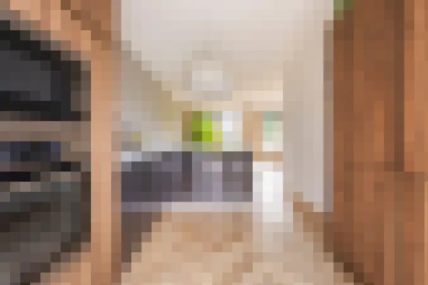 Drewerd 41 Groningen thumbnail 17