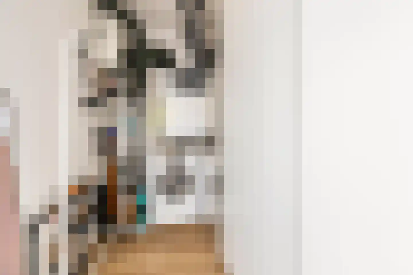 Drewerd 41 Groningen thumbnail 31
