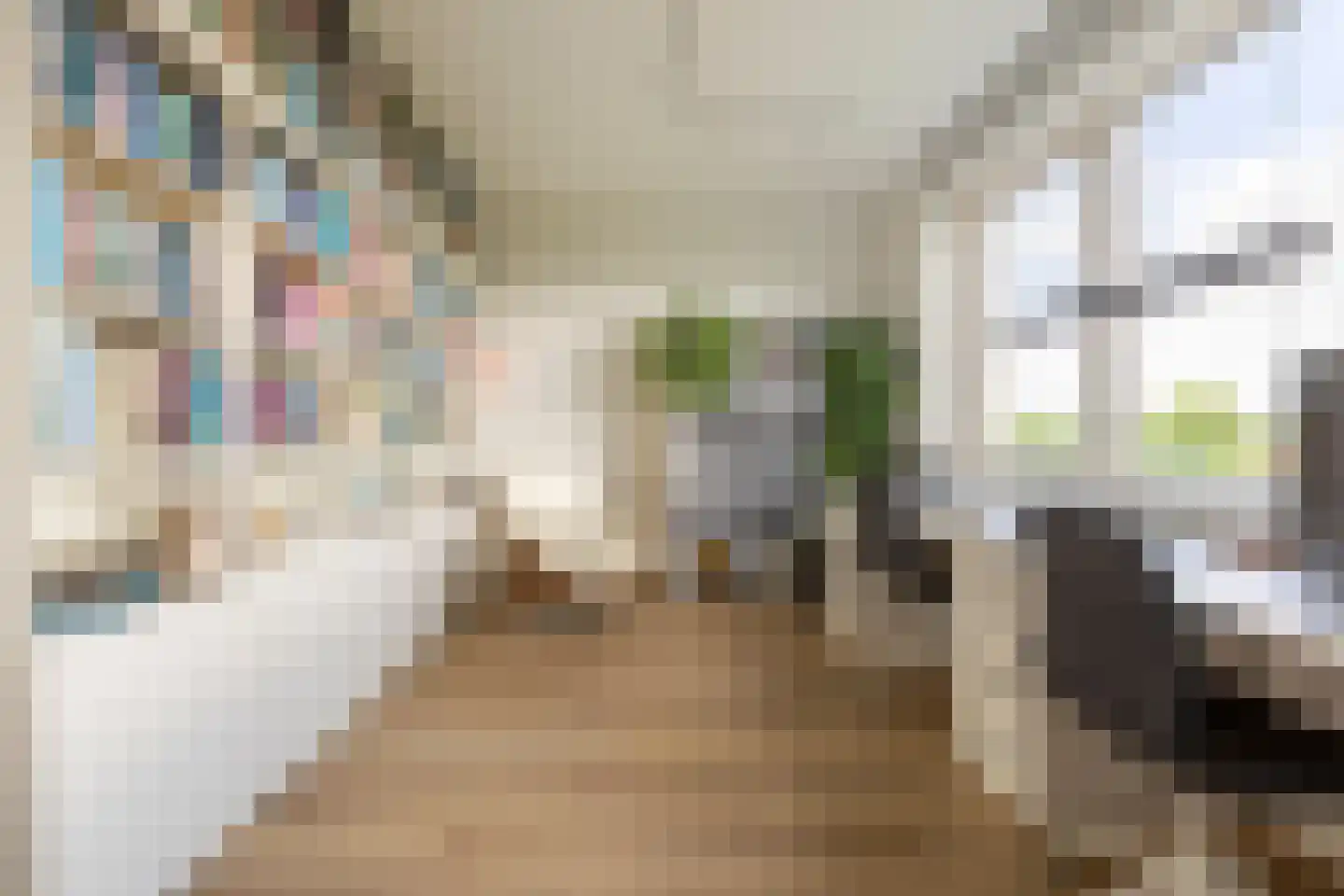 Drewerd 41 Groningen thumbnail 34