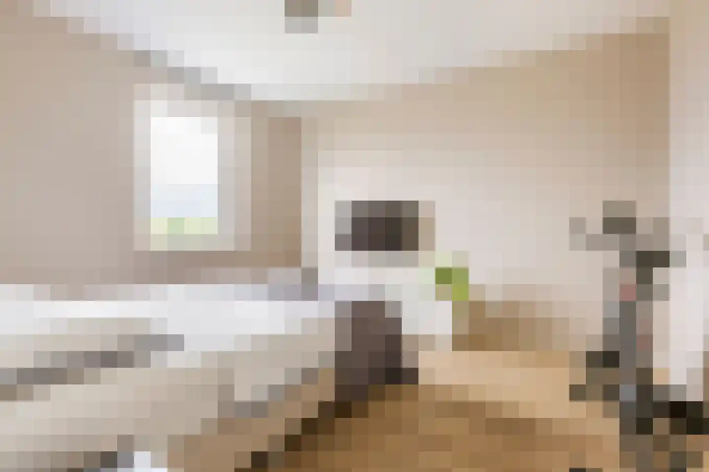 Drewerd 41 Groningen thumbnail 36