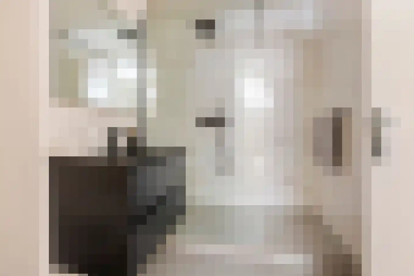 Drewerd 41 Groningen thumbnail 38