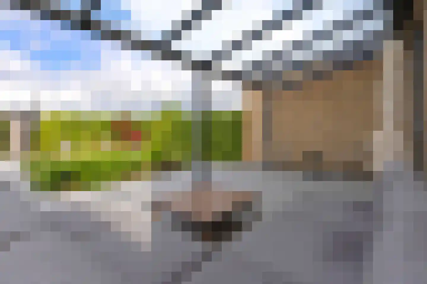 Drewerd 41 Groningen thumbnail 42
