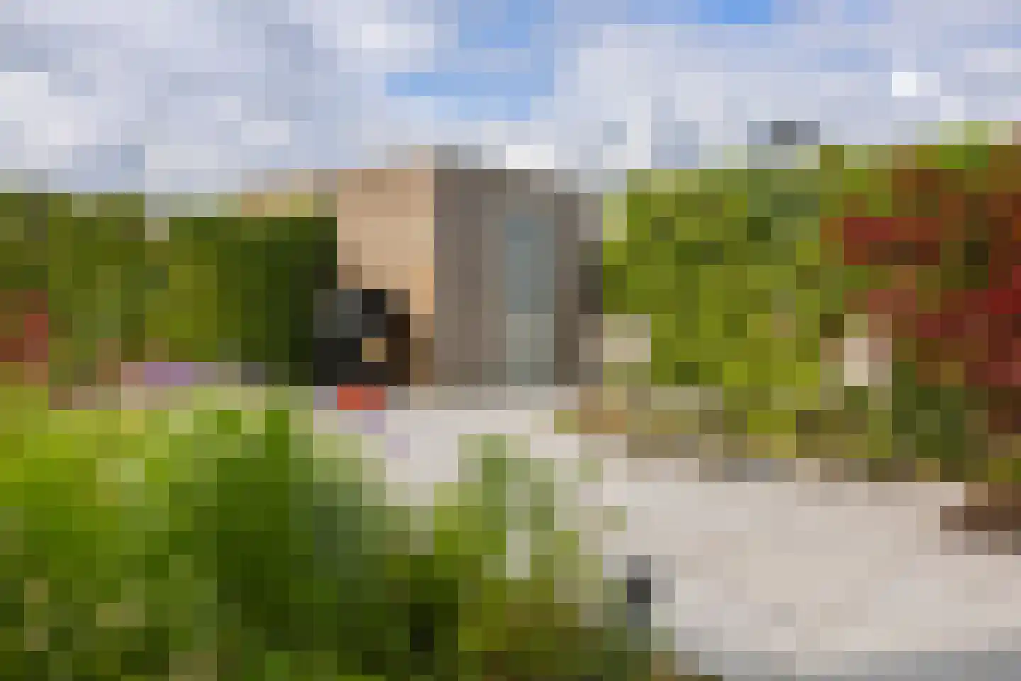Drewerd 41 Groningen thumbnail 45